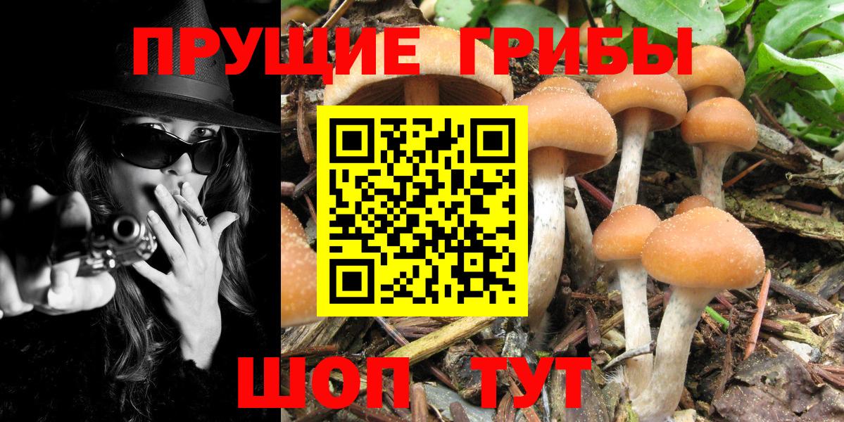 Псилоцибиновые грибы мухоморы  Вход с VPN  Рыбинск 